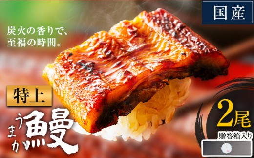 うなぎ 特上サイズ 2尾 贈答箱入り 国産 ランキング 獲得 鰻 真空パック おすすめ うなぎの蒲焼 《30日以内に出荷予定(土日祝除く)》 ふるさとのうぜい 特上 簡易包装 ウナギ unagi 蒲焼 秋 冬 旬 配送時期 冷凍