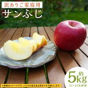 【ふるさと納税】【訳あり】サンふじ 約5kg 12～23玉前後 家庭用 大きさ不揃い キズあり りんご 林檎 果物 フルーツ 岩手県産 東北産 国産 送料無料【2024年12月上旬～12月下旬に順次発送予定】