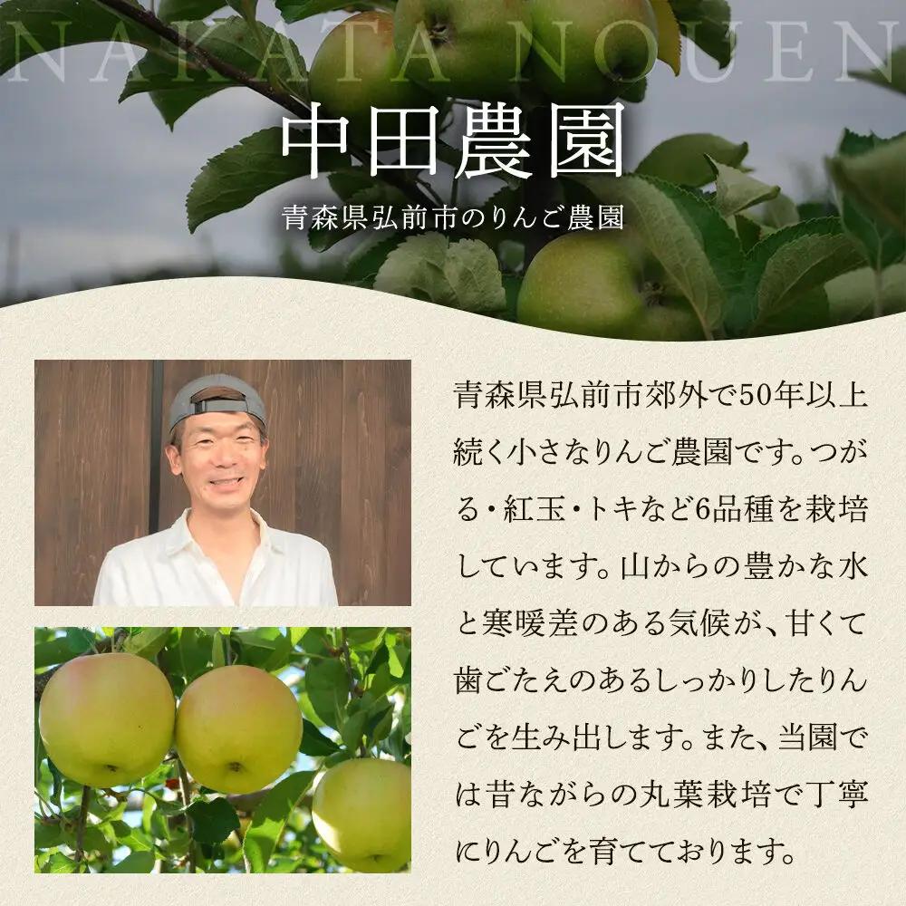 りんごのお酒 ハードサイダー【アルマナウラカ】 750ml 1本 （ジュニャーナムドラTJW） JAPAN CIDER CUP 2025 ウッド／樽熟成サイダー 銀賞受賞 シードル