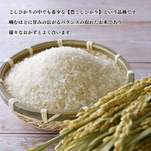 【令和７年産】 新米 豊こしひかり 無洗米 5kg
