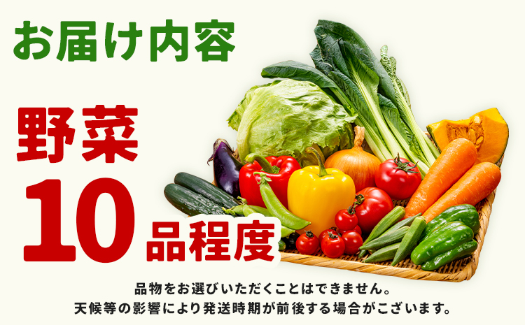 【定期便】 野菜 10品程度 計3回【メロンドーム】 定期便 3ヶ月お届け 詰め合わせ セット 国産 九州産 熊本県 菊池市 道の駅 送料無料《お申し込みの翌月から出荷》---003-1585---