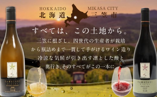 【ふるさとチョイス限定】山崎ワイン（おまかせ6本セット）各750ml