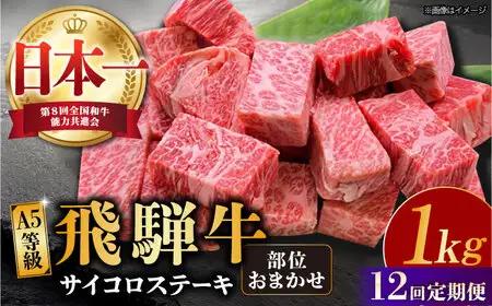 【12回定期便】 【飛騨牛】A5等級 サイコロステーキ 部位おまかせ 1kg 多治見市 [TAZ045] 飛騨牛 サイコロステーキ