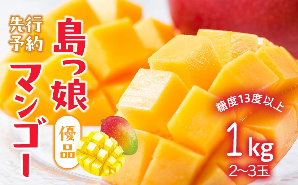 
            与論島産　島っ娘マンゴー（優品）1kg　2～3玉　糖度13度以上【先行予約：2025年7月上旬以降発送】
          