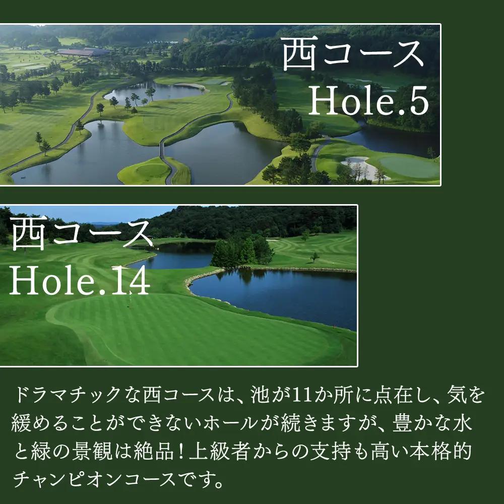 タラオカントリークラブ ゴルフ場 利用券 B 6,000円分 滋賀県 甲賀市 ゴルフ チケット (177688-40036853)