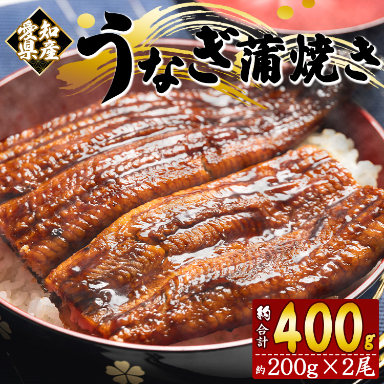フジ物産 国産養殖うなぎ蒲焼き 約200g×2尾(愛知県産鰻) 鰻 ウナギ かばやき fb-0138