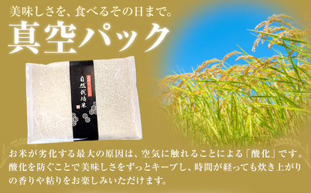 令和7年産 高野さんちの自然栽培米 白米 2kg 真空パック 株式会社有機農場《30日以内に出荷予定(土日祝除く)》熊本県 菊池市 米 お米 精米 ヒノヒカリ ひのひかり 自然栽培米 七城物語 熊本県