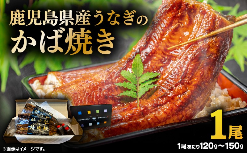 
                  大隅産うなぎのかば焼き 1尾　KN174-001-01
                