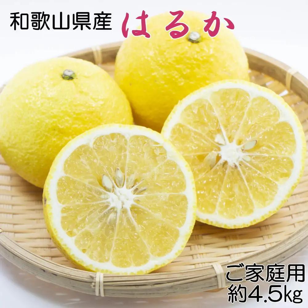 【さわやか柑橘】和歌山県産はるかみかん約4.5kg（サイズ混合　ご家庭用）※2027年2月下旬～2027年3下旬頃順次発送【tec954】