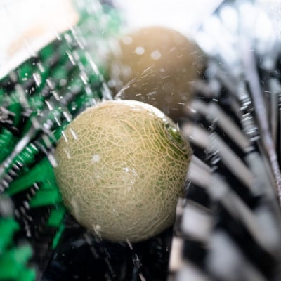 厳選クインシーメロン　3L【2玉】赤肉【配送不可地域：離島・沖縄県】