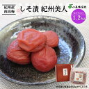 【ふるさと納税】紀州南高梅 しそ漬紀州美人 （塩分約12％）1.2kg / 和歌山 梅干し 田辺市 紀州南高梅 南高梅 梅干 梅 うめ 肉厚 お米 おにぎり 焼酎 梅酒 健康 紫蘇 しそ入り しそ りんご酢