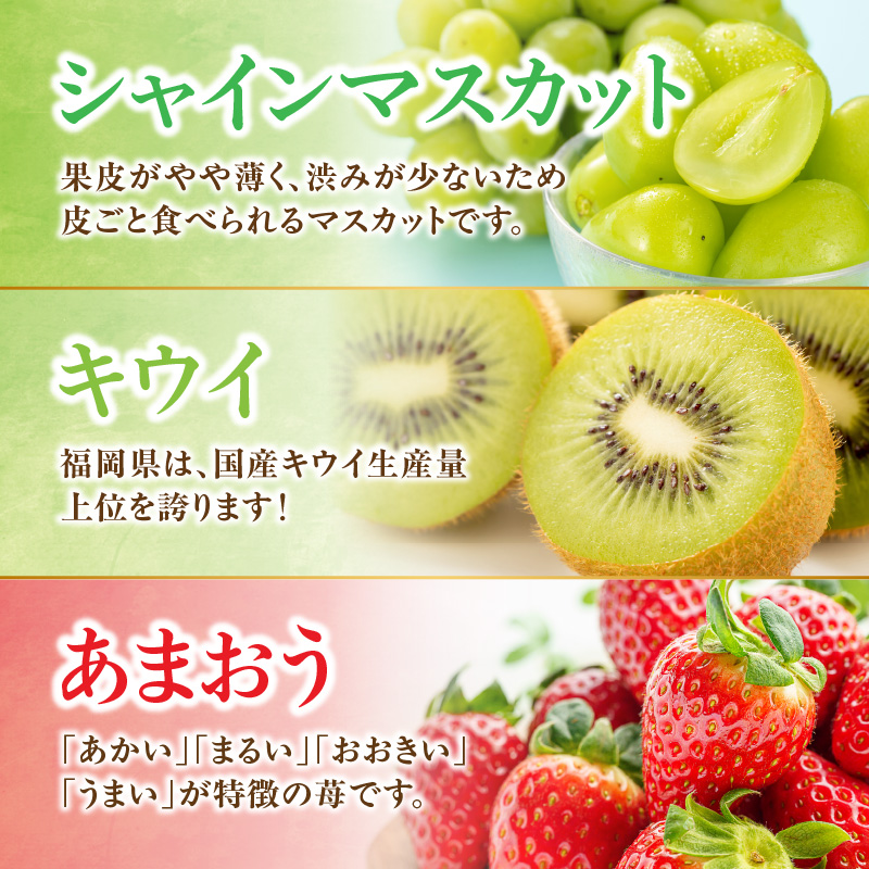 九州・福岡フルーツ王国八女 旬のフルーツ定期便【全3回】E ＜配送不可：北海道・沖縄・離島＞ フルーツ 定期便 あまおう シャインマスカット キウイ 季節のフルーツ 果物 おすすめ セット 産地直送 