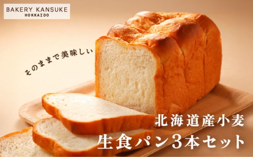 そのままでしっとりモチモチおいしい生食パン！北海道産小麦の生食パン3本セット｜プレミアム小麦キタノカオリ100％ パン ぱん 食パン パン屋 自家製 朝食 おやつ 冷凍 北海道 岩見沢 ベーカリーカンスケ【19115】