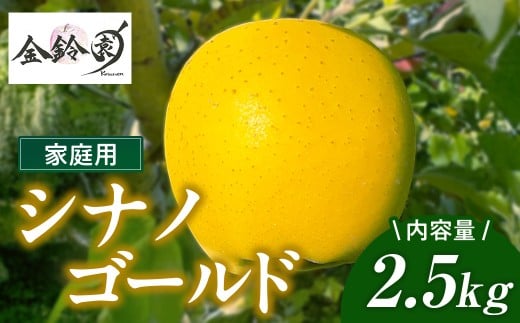 シナノゴールド 家庭用 りんご 2.5kg 国産 東北 岩手 林檎 リンゴ 訳あり 果物 フルーツ しなの ゴールド 産地直送 送料無料 旬 秋 冬 金鈴園 岩手県 北上市 B0440