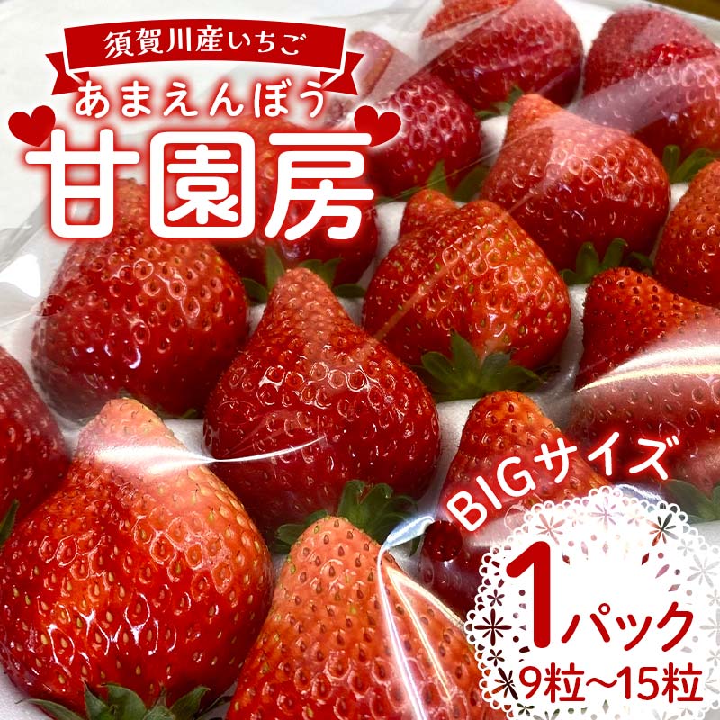 【ふるさと納税】須賀川産いちご「甘園房～あまえんぼう～」BIGサイズ 1パック(9粒～15粒) いちご イチゴ 苺 デザート フルーツ 果物 くだもの 果実 食品 F7X-0155