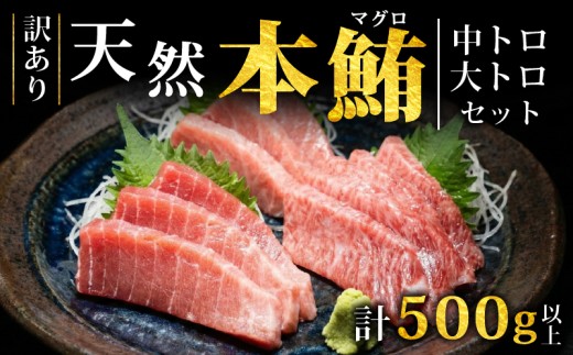 【スピード発送】天然本まぐろ 中トロ 大トロ セット 500g以上 訳あり まぐろ 刺身 さしみ 刺し身 鮮魚 まぐろ赤身 鮪 魚介 魚 マグロ 漬け ユッケ 海鮮丼 国産 天然まぐろ 高級 天然 人気 寿司 本鮪 お正月 年末 冷凍 三陸 大船渡 岩手 冊 ギフト ごちそう