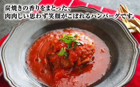炭焼き 国産 ハンバーグ (トマトソース) 230g×5個＜PUNTO MARE＞那珂川市 ハンバーグ お惣菜 洋食 国産 炭焼き イタリアン トマト 17000 17000円 [GCB004]