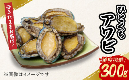 上五島産養殖ひとくちアワビ 活 厳選 300g 刺身 ステーキ 生[RAE005] アワビ あわび 刺身 アワビ あわび 刺身 アワビ あわび 刺身九州 長崎