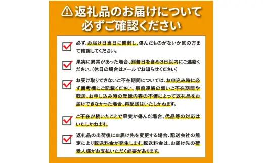 訳あり レモン (グリーンレモン) 1kg ワックス不使用 りのか  レモン 減農薬 柑橘 檸檬 くだもの 果実 国産 愛媛 みかん職人武田屋 ブランド 愛媛県産 産直 無添加 愛媛県 愛南町