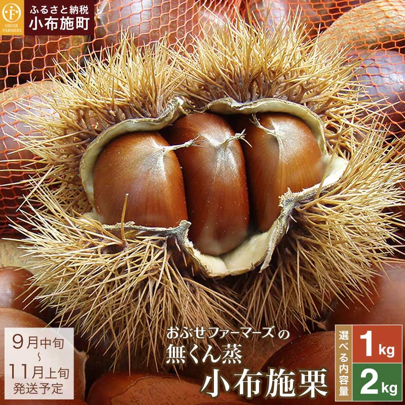 【ふるさと納税】 無くん蒸小布施栗 約1kg 約2kg 内容量が選べる ［おぶせファーマーズ］ 生栗 くり 果物 フルーツ 先行予約 数量限定 クール便 冷蔵便 長野県産 信州産 秋 ご当地 特産品 名産 日本三大栗 令和7年産 【2025年9月中旬〜11月上旬発送】