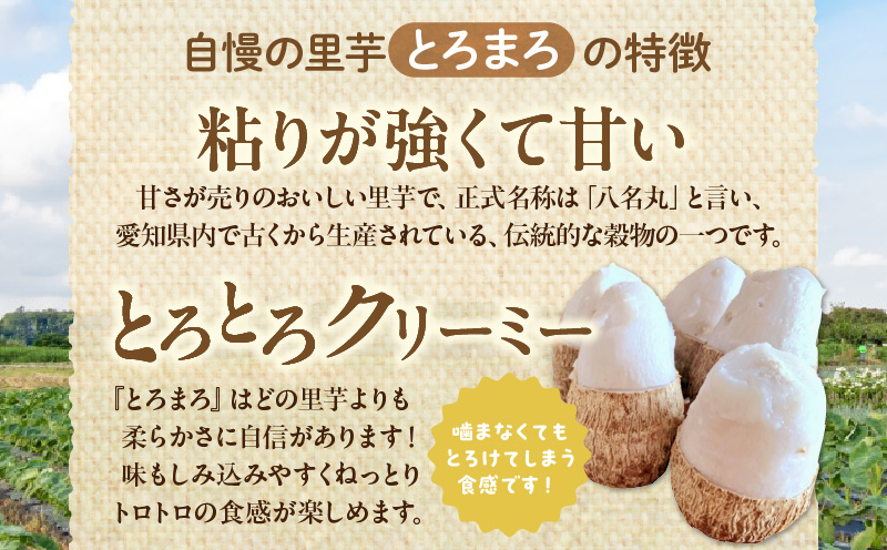 【定期便3ヶ月】里芋『とろまろ』土付き 4.5kg・H139
