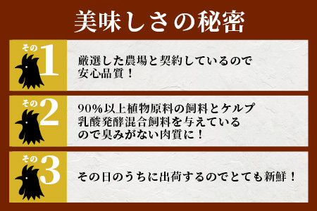 鶏肉 ブランド鶏 ありた鶏 モモ肉 合計2kg もも 精肉  B-589