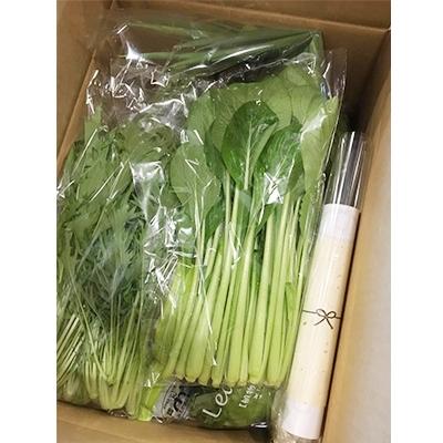 ふるさと納税 伊賀市 忍びの国の野菜セット(12品目以上) |  | 02