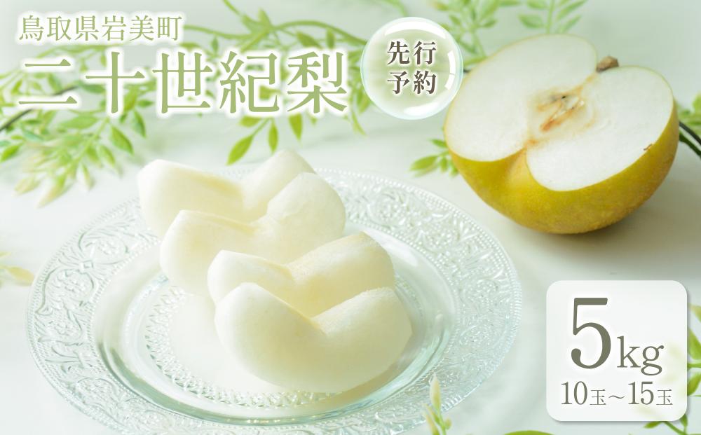 【先行予約】中野農園 梨 ”二十世紀梨” 5kg箱｜鳥取 岩美 梨 なし ナシ 青梨 果物 フルーツ【41026】