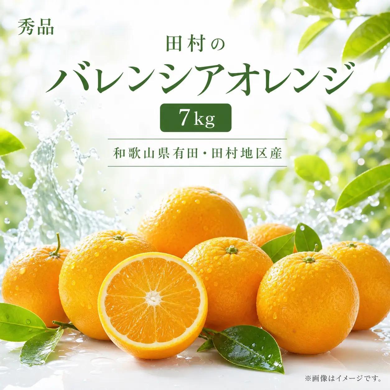 秀品　田村のバレンシアオレンジ　約7kg【2027年6月下旬頃～7月上旬頃順次発送予定】/ みかん くだもの フルーツ 【uot872A】