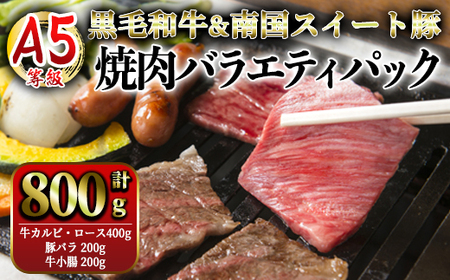 A5等級黒毛和牛＆鹿児島県産豚焼肉バラエティパック　800g 2633