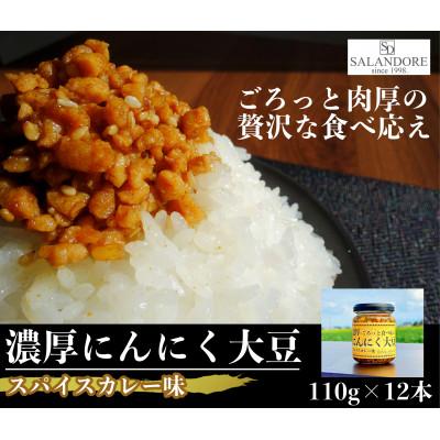 ふるさと納税 朝倉市 濃厚にんにく大豆_スパイスカレー味_12本セット