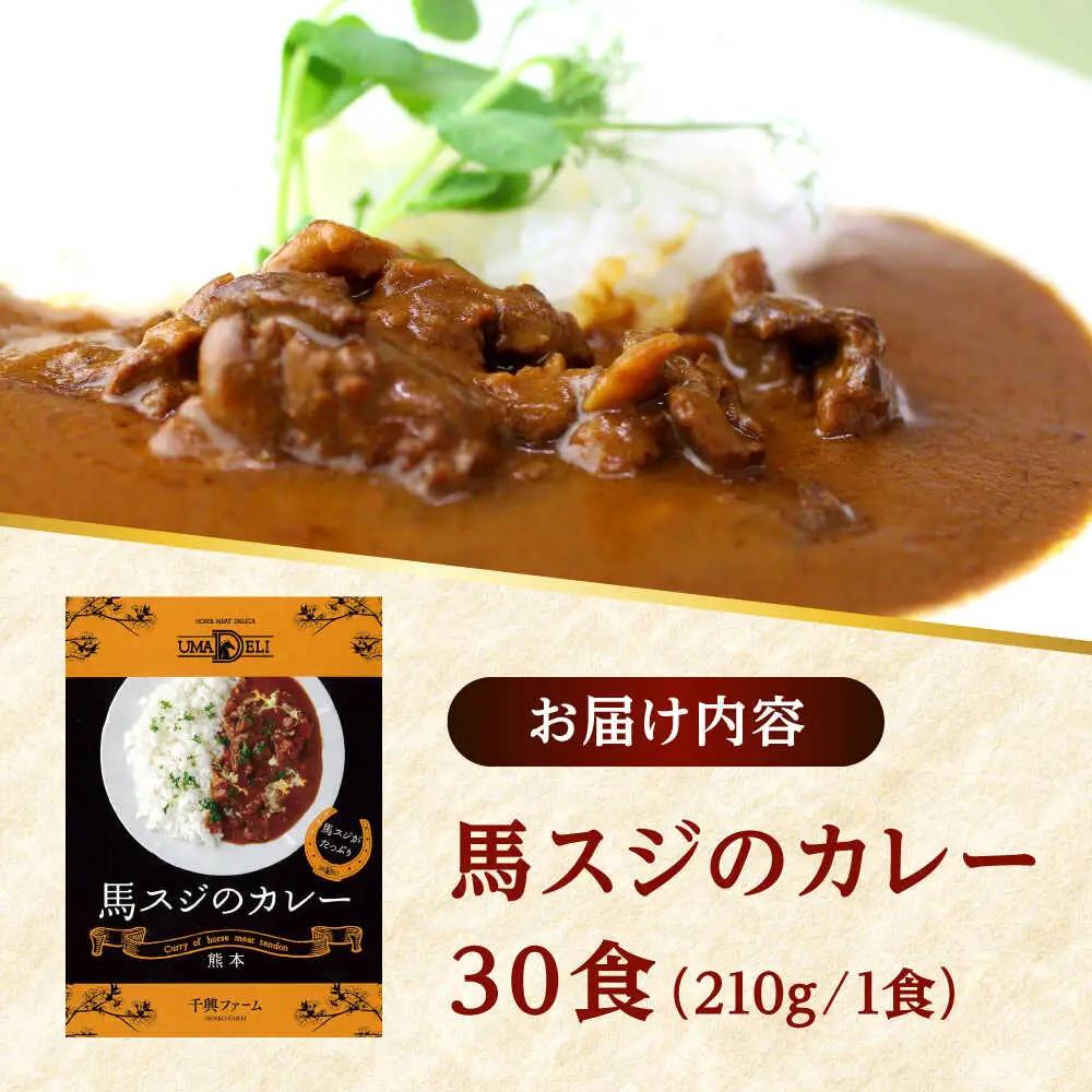 熊本 馬肉 馬スジのカレー 30食分（210g/食）カレー[AYAF116]