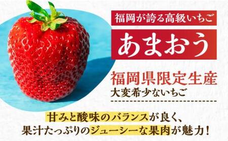 【先行予約】【1月発送】農家直送 あまおう 厳選デラックスG 1080g(270g以上×4P)土耕栽培[VAB003]果物 あまおう