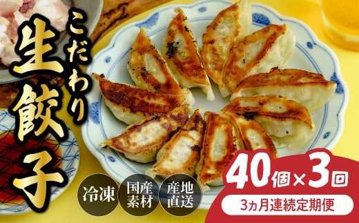 定期便 全3回 餃子 毎月40個 人気店の旨味あふれる冷凍餃子 | 大容量 ギョウザ 冷凍餃子 ギョーザ 冷凍ギョウザ 冷凍 冷凍ぎょうざ ぎょうざ ぎょーざ おいしい 手軽 食べ比べ 美味しい おつまみ 国産野菜 中華 簡単調理 惣菜 北本フーズ 埼玉県 北本市