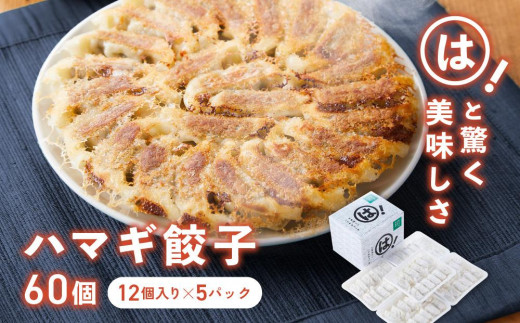 は！と美味しいハマギ餃子　60個 (12個入り×5パック)