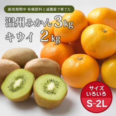 ふるさと納税 淡路市 片山農園の温州みかん3.0kgとキウイ2.0kg【サイズ色々S〜2Lサイズ】　ak03801