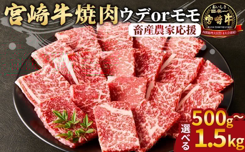 
                  ＜宮崎牛 赤身焼肉＞ご希望の出荷時期をお選びください。【 国産 黒毛和牛 牛肉 牛 精肉 カット肉 BBQ ウデ肉 モモ肉 4等級以上 ブランド牛 赤身 旨味 贈答品 ギフト 贈り物 プレゼント 化粧箱 グルメ ミヤチク 宮崎県 国富町 】
                