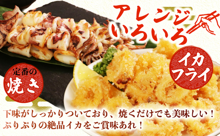 カットヤリイカ 約1.2kg いか いか いか いか いか 大一奈村魚問屋