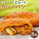 【ふるさと納税】No.093 越谷ねぎのとろ～りカレーパン（8個入り） ／ 横綱ねぎ 贅沢 自家製 ねぎカレー 送料無料 埼玉県