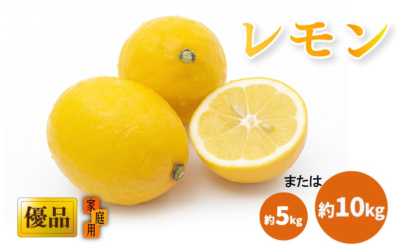 
            【2026年3月中旬頃から発送】 瀬戸内海の島レモン 優品・家庭用 約5kg または 10kg ｜ レモン 檸檬 れもん すっぱい 酸っぱい 中島のレモン 中島の檸檬 酸味 数量限定 期間限定 レモン 愛媛県産 減農薬 有機肥料使用  甘み 香り レモン 柑橘 松山市 レモン 中島 レモン 有機栽培 レモン 新鮮 レモン 
          
