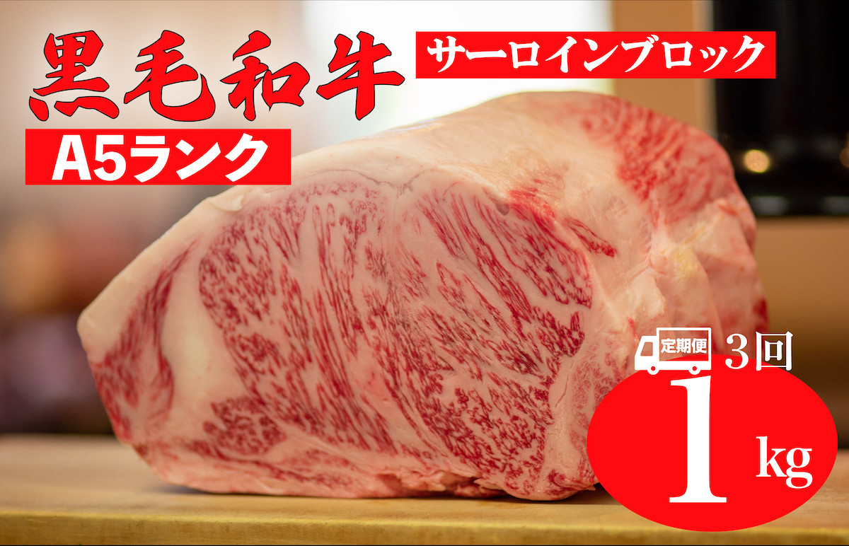 
            【全3回定期便】黒毛和牛 A5ランク サーロイン ブロック 1kg ステーキ用ソース付 サーロイン さーろいん ステーキ ブロック肉 和牛 サーロイン 贈答 ギフト お中元
          