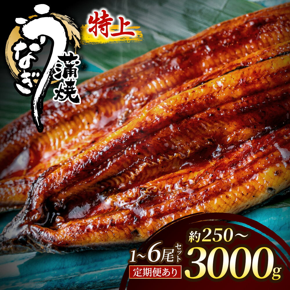 【ふるさと納税】うなぎ蒲焼き 1尾 2尾 3尾 4尾 6尾 計約250g～計約3.0kg以上【魚住商店】 選べる 内容量 回数 定期便 特上 鰻 ウナギ 人気 特大 炭火 うなぎの蒲焼 丑の日 土用 真空 宗像 美味しい