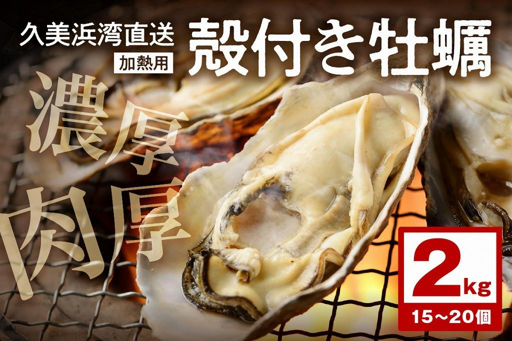 
朝採れ、鮮度抜群！濃厚！肉厚！久美浜湾直送　殻付き牡蠣2kg(15～20個)　YK00110
