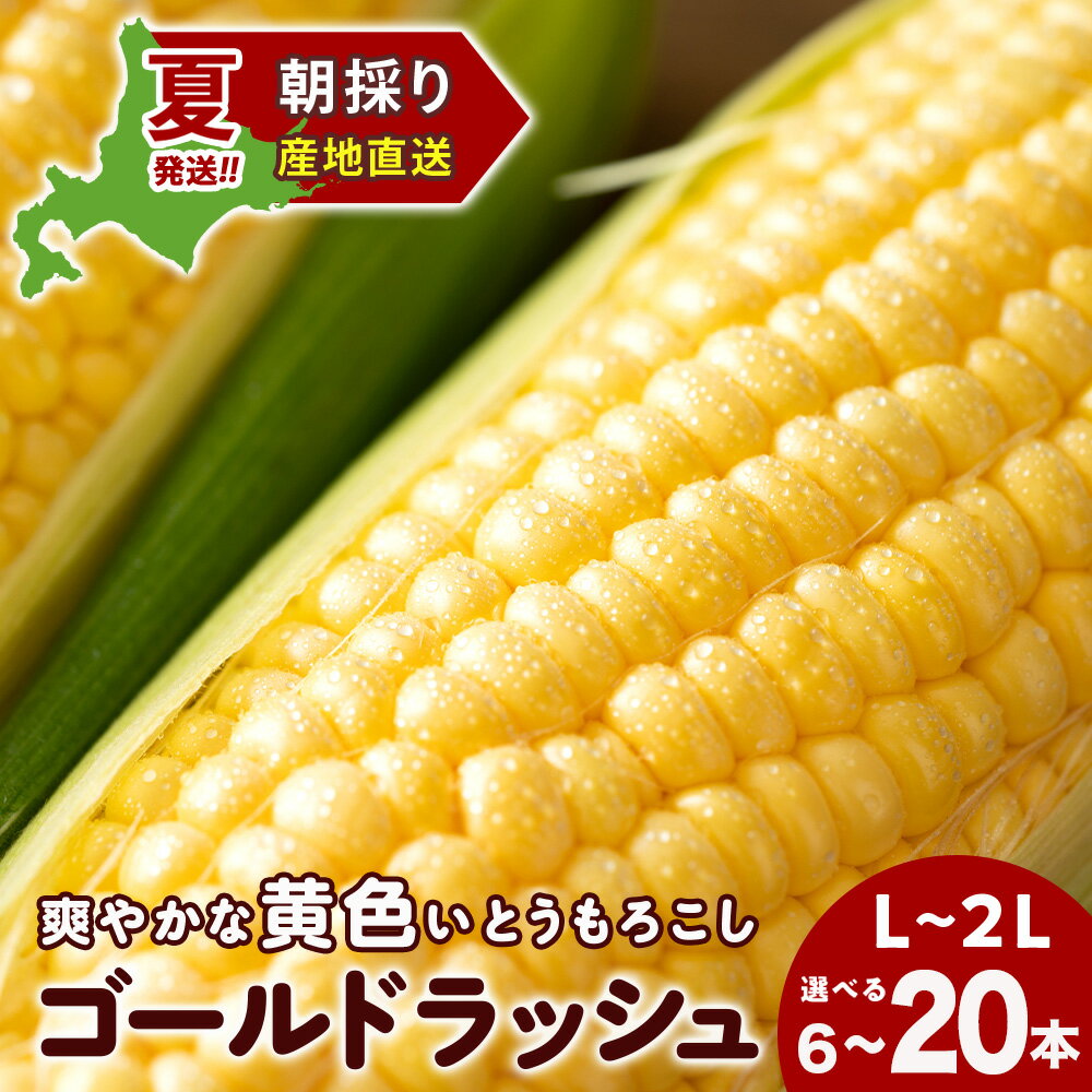 【ふるさと納税】2025年夏発送 とうもろこし ゴールドラッシュ L〜2L 選べる6本～20本 北海道千歳産 野菜 とうもろこし【北海道千歳市】ギフト ふるさと納税
