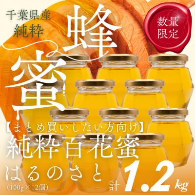 ふるさと納税 大網白里市 大網白里育ちの純粋はちみつ「はるのさと」(百花蜜)【計1.2kg】100g×12個