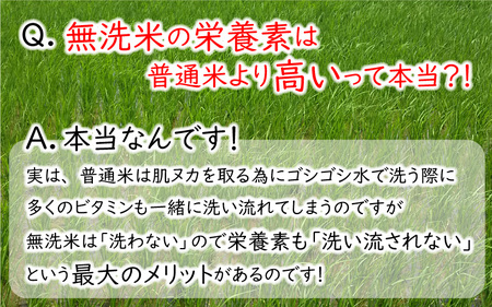 【令和6年産・新米】【3ヶ月連続お届け】低農薬極上米 無洗米 10kg × 3回 計30kg 『こしひかり』 [J-8807_01]