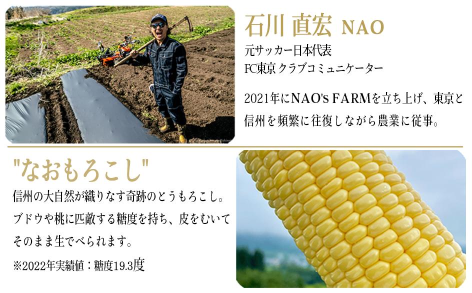 [ クール便 / 冷蔵便 ] 【 NAO's FARM 】 生で食べられる とうもろこし × 10本 2025年7月下旬頃から2025年8月中旬頃まで順次発送予定 令和7年度収穫分 株式会社みみずや 