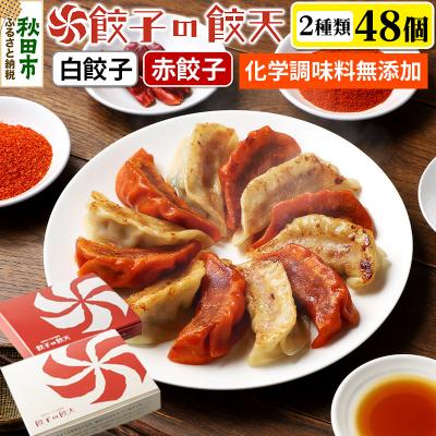 ふるさと納税 秋田市 【至福の白餃子・情熱の赤餃子48個詰合せ】餃子の餃天|15_ggt-054801