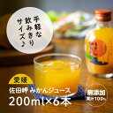 【ふるさと納税】【愛媛県産】うまいがぜ伊方みかんジュース（200ml×6本） ストレート果汁100％◇