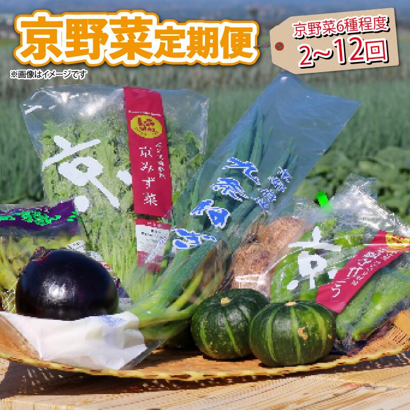 【ふるさと納税】 【 選べる 定期便 】 京野菜 野菜 6種 程度 定期便 2回 4回 6回 12回 野菜 詰め合わせ 京都 野菜セット 季節 旬 栄養食 九条ネギ 万願寺 賀茂なす 数量限定 冷蔵 サラダ BBQ バーベキュー お中元 お歳暮 サラダ 人気 おすすめ ふるさと納税